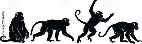 Set of four black monkey silhouettes in dynamic poses showing sitting, walking, leaping, and crouching movement progression