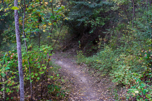 Callahan Creek Trail