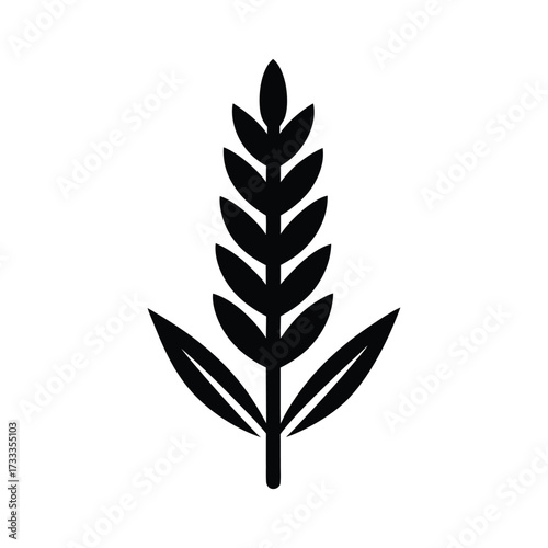 Lavender Icon Vector Illustration