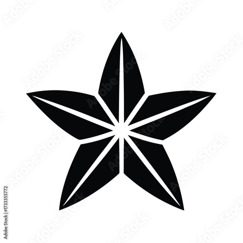 Starfruit Icon Vector Illustration
