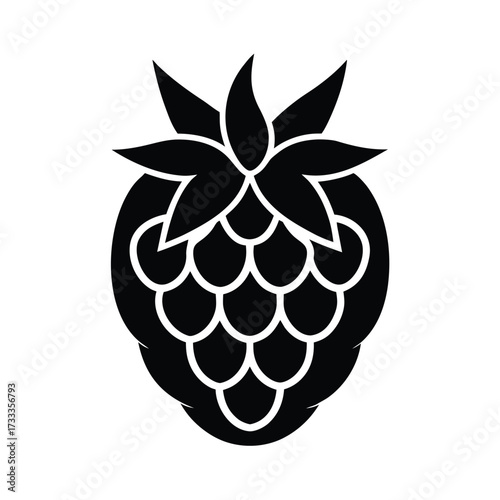 Salmonberry Icon Vector Illustration