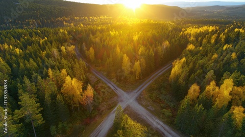 direction. Forked country road through autumn forest during golden hour, symbolizing choices and journeys. representing seasonal cycles and harvest abundance.