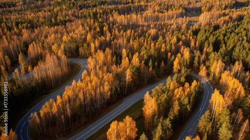 direction. Forked country road through autumn forest during golden hour, symbolizing choices and journeys. representing seasonal cycles and harvest abundance.