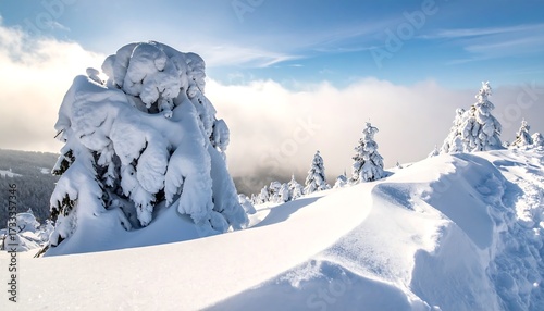 Snowy landscape with frosted trees under a partly cloudy blue sky