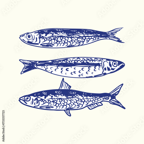 Vintage Sardines Doodles Illustration Set