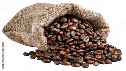 Fresh roasted coffee beans spilling from burlap sack aromatic dark roasted natural beans closeup detailed texture isolated on white background