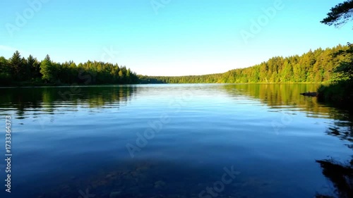 Wallpaper Mural Serene lake reflects clear blue sky amidst lush green forest on a sunny day Torontodigital.ca