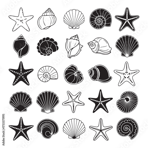 Set of different black sea shells and starfish silhouette vector illustration.
