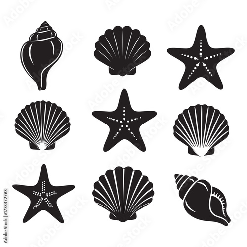Set of different black sea shells and starfish silhouette vector illustration.
