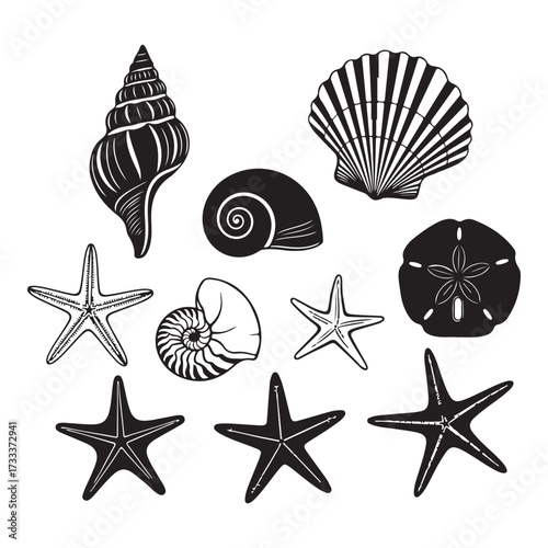 Set of different black sea shells and starfish silhouette vector illustration.
