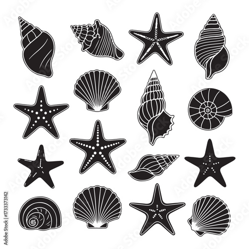 Set of different black sea shells and starfish silhouette vector illustration.
