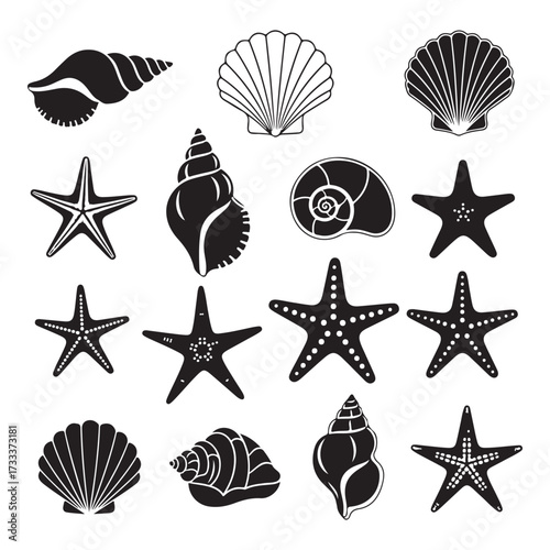 Set of different black sea shells and starfish silhouette vector illustration.

