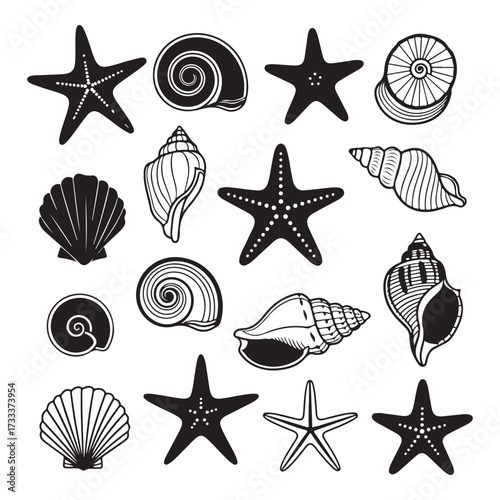 Set of different black sea shells and starfish silhouette vector illustration.

