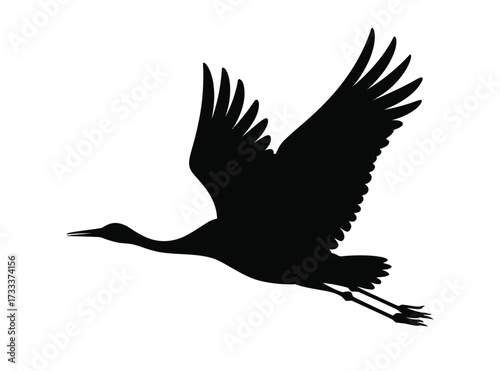 Silhouette of a majestic crane bird in flight with wings spread wide against a white background