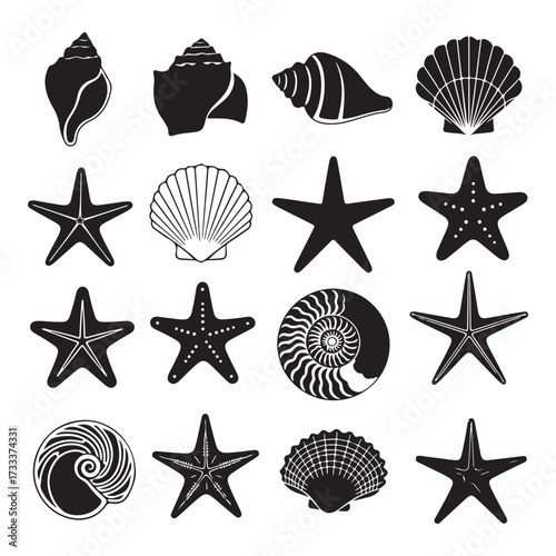 Set of different black sea shells and starfish silhouette vector illustration.
