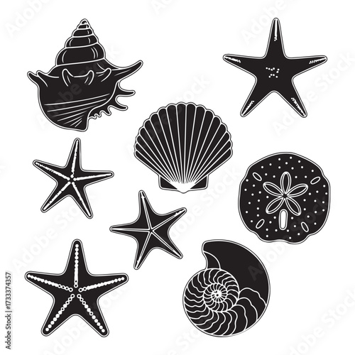 Set of different black sea shells and starfish silhouette vector illustration.
