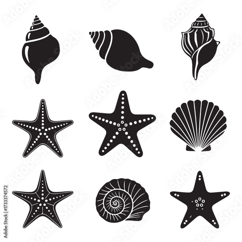 Set of different black sea shells and starfish silhouette vector illustration.

