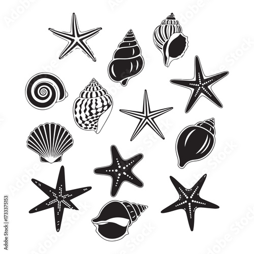 Set of different black sea shells and starfish silhouette vector illustration.
