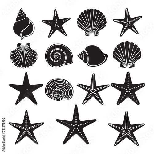 Set of different black sea shells and starfish silhouette vector illustration.
