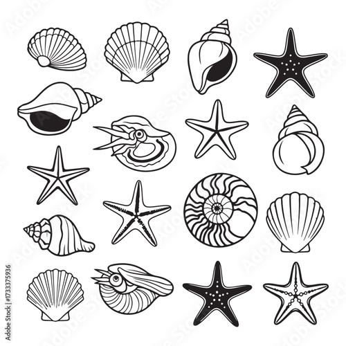 Set of different black sea shells and starfish silhouette vector illustration.

