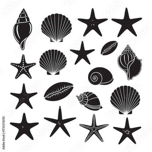 Set of different black sea shells and starfish silhouette vector illustration.
