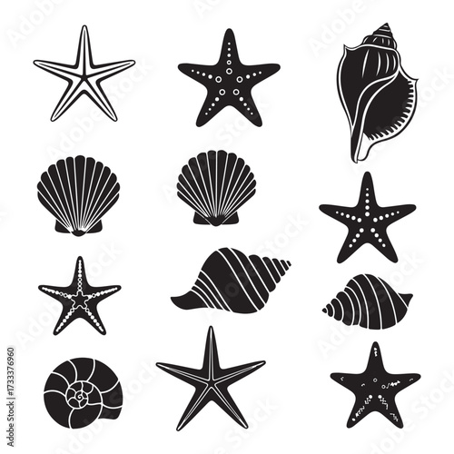 Set of different black sea shells and starfish  silhouette vector illustration