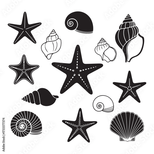 Set of different black sea shells and starfish  silhouette vector illustration