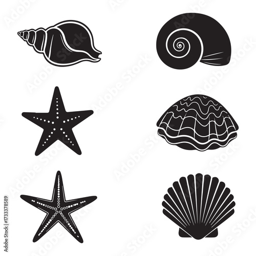 Set of different black sea shells and starfish  silhouette vector illustration