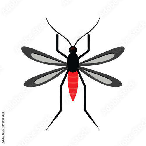 Mosquito Hawk