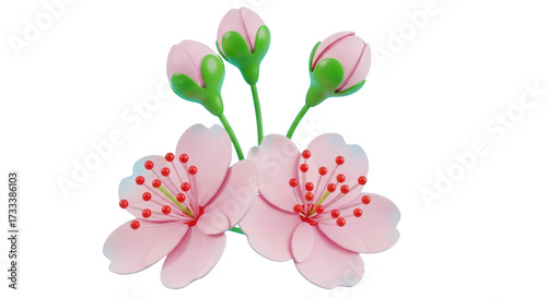 3D Pink Cherry Blossoms and Buds with Green Stems on Transparent Background flower bloom isolated on a transparent background