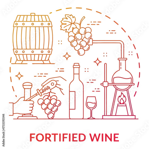 Vector art of fortified wine production process with grapes, barrels, and bottles illustration