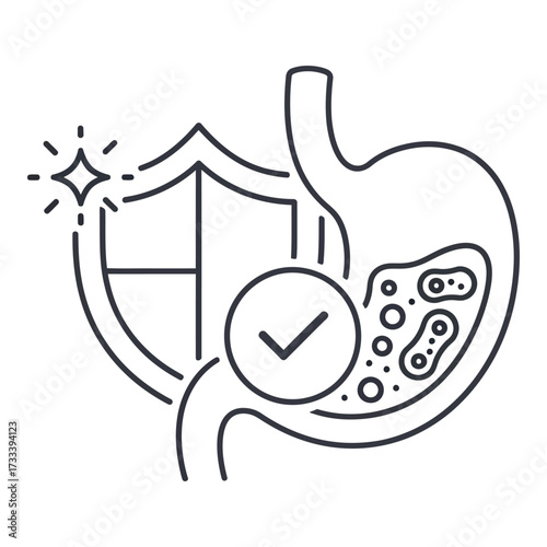 Illustration of stomach with shield and checkmark symbolizing gut health and protection