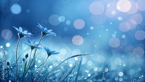 Blue daisies covered in morning dew against dreamy blue background, abundant bokeh lights creating magical ethereal dawn atmosphere in meadow.