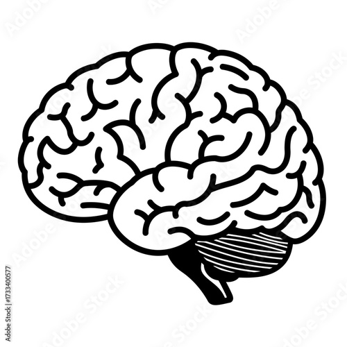 Stylized Human Brain