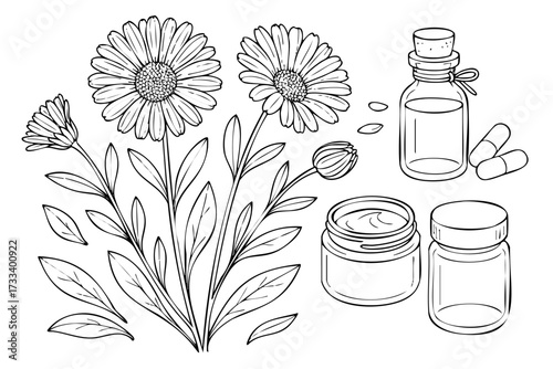 Flower, a bottle of pills, and a jar of cream. The flower is a daisy, and it is surrounded by leaves. The pills are placed on a surface next to the flower