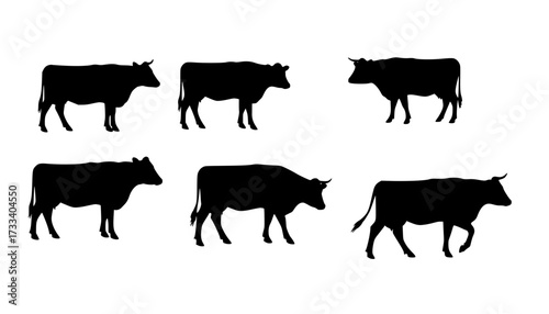 cow silhouette Vector set, cattle silhouettes, diverse breed of cows. Ideal for farm, ranch branding. Perfect for logos, decals. Black, white background. Bulls, cows, standing, walking, running	