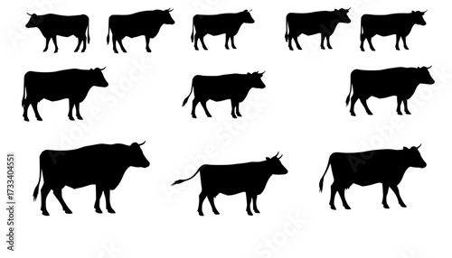 cow silhouette Vector set, cattle silhouettes, diverse breed of cows. Ideal for farm, ranch branding. Perfect for logos, decals. Black, white background. Bulls, cows, standing, walking, running	