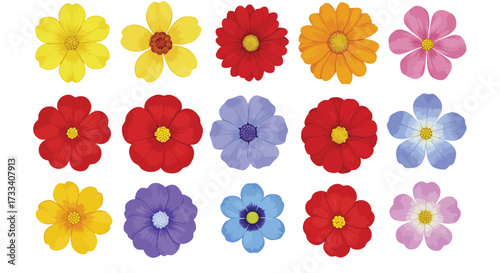 Vector Floral Design, Colorful Flowers, Nature, Illustrations, Vibrant Environment, Top View, Artistic Composition