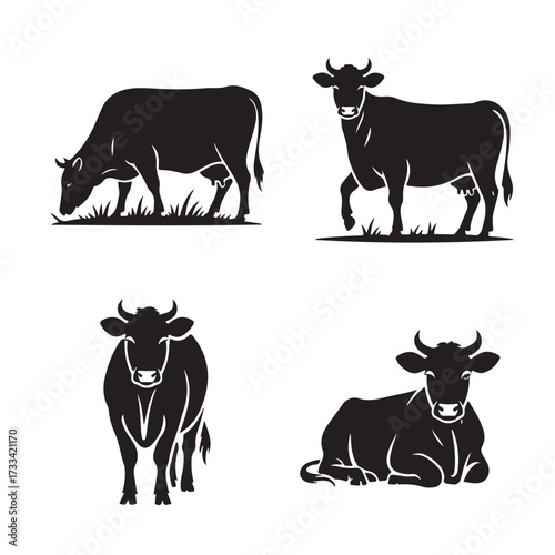 Four black cow silhouettes in different poses on a white background Keywords: cow, cattle, silhouette, farm, animal, livestock, grazing, walking