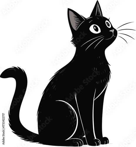 black and white cat