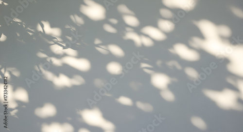 Delicate leaf shadows dance on a sun-drenched wall creating a serene scene