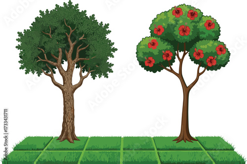 Beautiful green leafy tree and blooming hibiscus flower tree, natural garden landscape illustration, isolated on white background with grass ground, eco friendly nature concept design