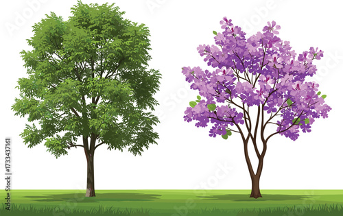 Beautiful green tree with lush leaves and vibrant purple flowering tree in nature garden landscape illustration, spring season outdoor scenery with colorful foliage background
