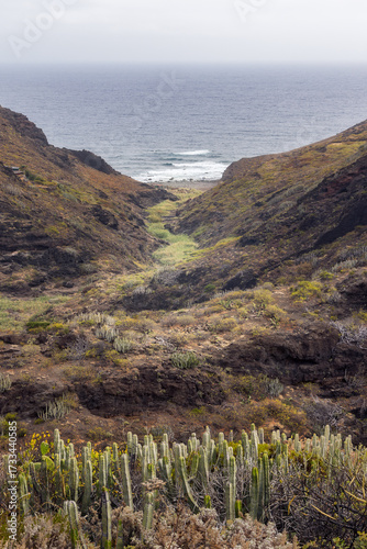Exploring the Scenic Afur Ravine Leading to Tamadite Beach in Tenerife, Spain