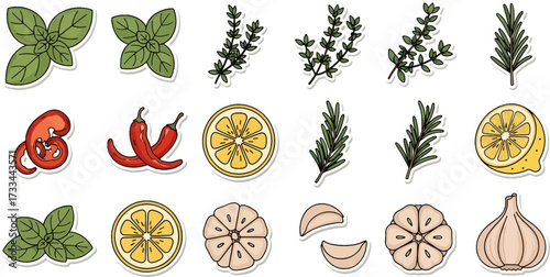 Culinary Herb and Spice Collection for Flavorful Cooking