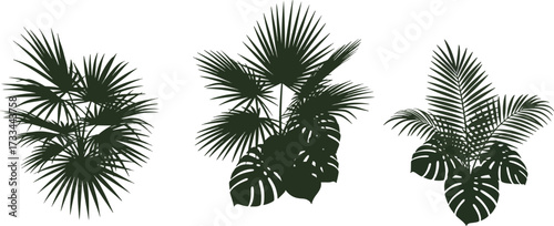 Abstract top-down tropical plant illustrations, featuring diverse palm trees and monstera leaves, perfect as graphic elements for architectural plans, landscaping, or botanical design