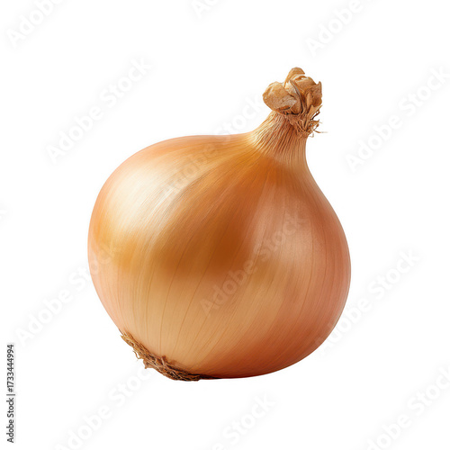 Wallpaper Mural Whole yellow onion with dry skin and root isolated on transparent background Torontodigital.ca