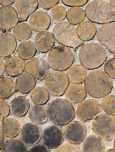Wood Log Slices Wall Texture, Rustic Eco Background. Close-up of a decorative wall made of natural wooden log slices embedded in concrete. Rustic organic background texture with tree rings, cracks and