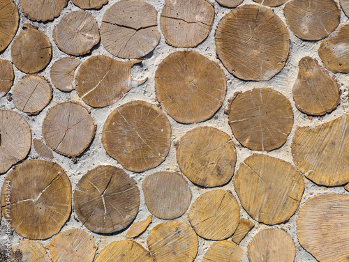 Wood Log Slices Wall Texture, Rustic Eco Background. Close-up of a decorative wall made of natural wooden log slices embedded in concrete. Rustic organic background texture with tree rings, cracks and