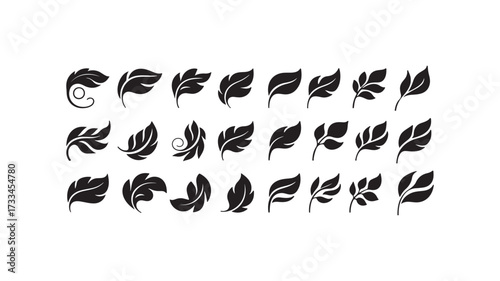Black solid leaf icon vector design set for nature logo, eco friendly branding, foliage graphics, organic pattern elements, plant illustrations, and simple botanical artwork.
